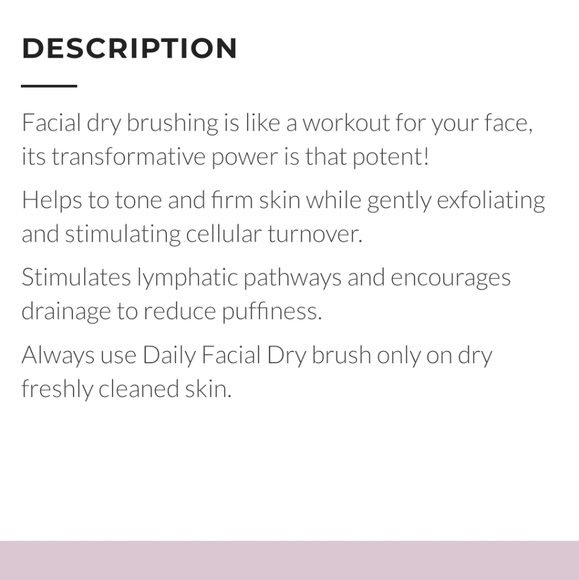 Daily concepts dry brush - Picture 4 of 4